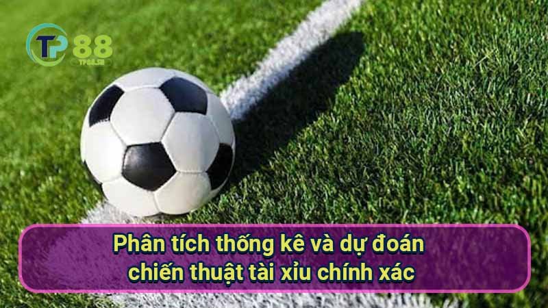 phan-tich-thong-ke-va-du-doan-chien-thuat-tai-xiu-chinh-xacphan-tich-thong-ke-va-du-doan-chien-thuat-tai-xiu-chinh-xac