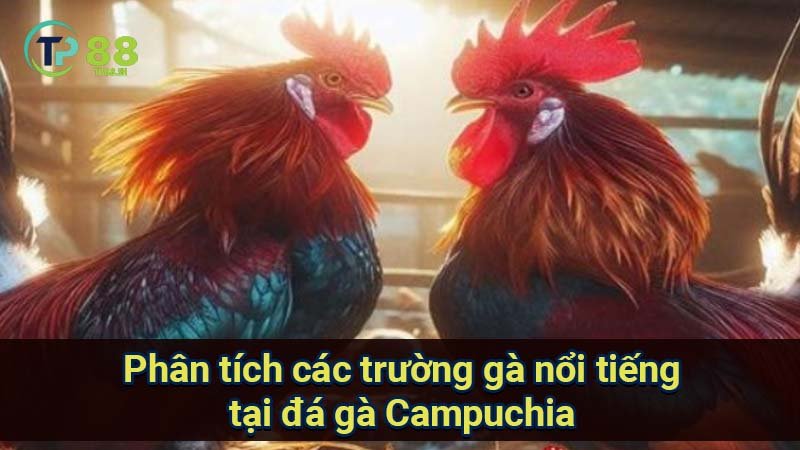 phan-tich-cac-truong-ga-noi-tieng-tai-da-ga-campuchia