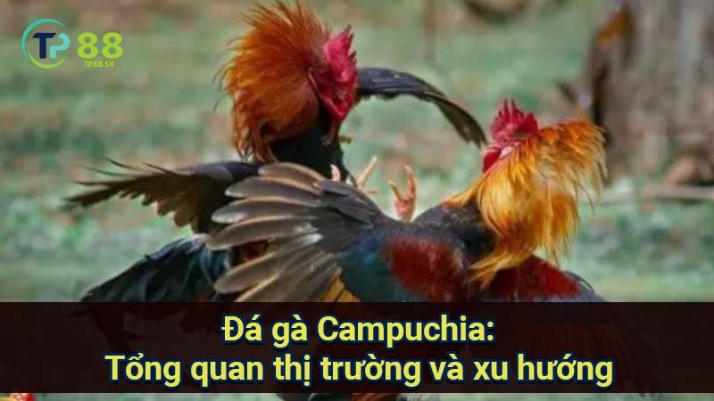 da-ga-campuchia