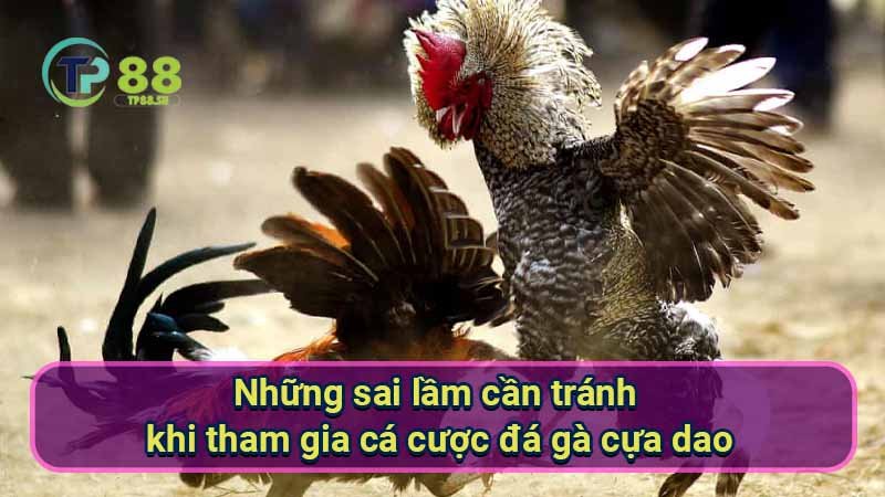 nhung-sai-lam-can-tranh-khi-tham-gia-ca-cuoc-da-ga-cua-dao