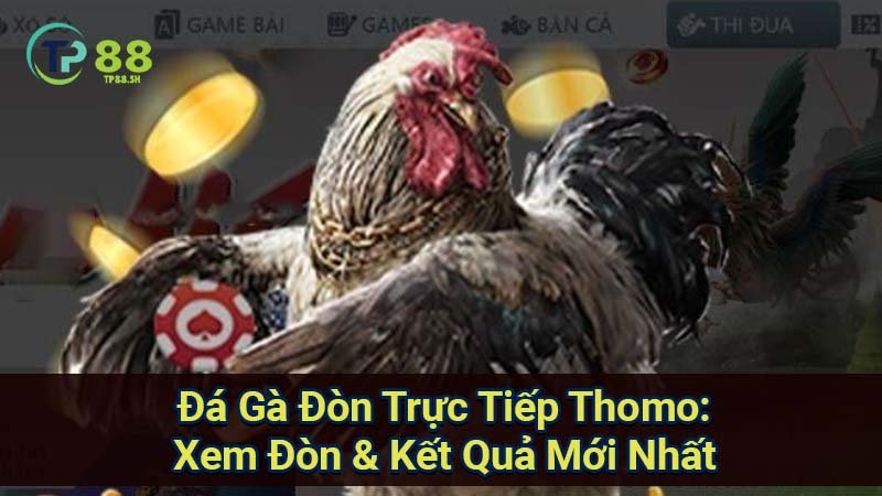 da ga don truc tiep thomo tp88