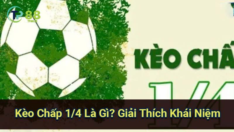 keo-chap-1-4-la-gi?-giai-thich-khai-niem