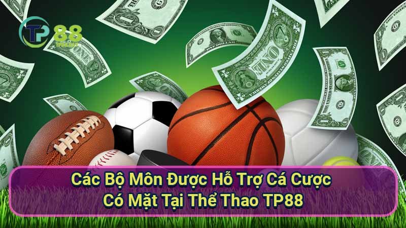 cac-bo-mon-duoc-ho-tro-ca-cuoc-co-mat-tai-the-thao-tp88